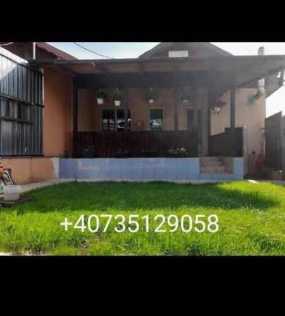 Central City House Tulça Dış mekan fotoğraf