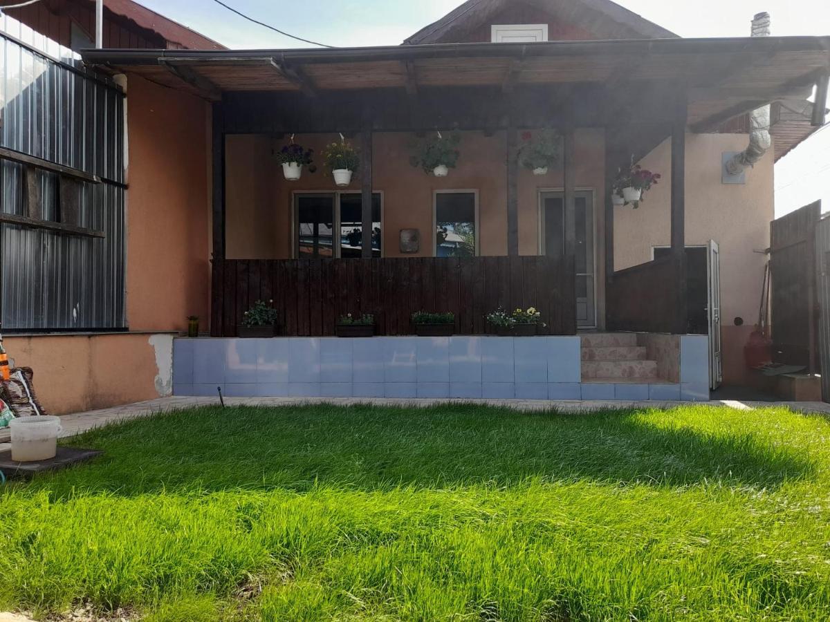 Central City House Tulça Dış mekan fotoğraf